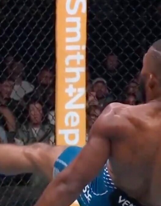 ufc paris parnasse ko dan hooker