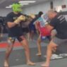 Alex-Pereira-Sparring