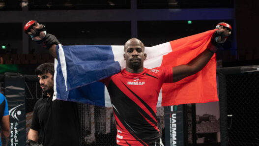 DWCS &ndash; Nell Ariano : quelle heure et quelle cha&icirc;ne pour suivre le Fran&ccedil;ais ?