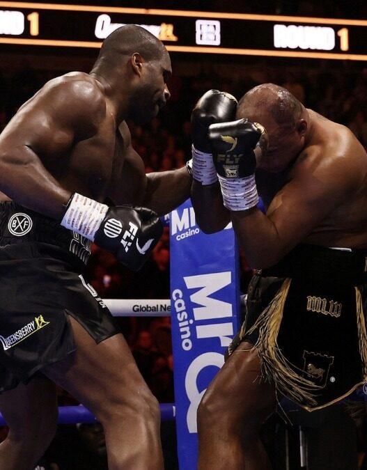 daniel dubois détruit warldey revanche boxe