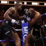 daniel dubois détruit warldey revanche boxe