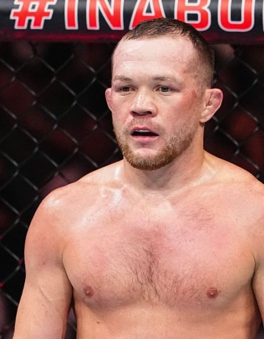 petr yan statistique folle ufc 333